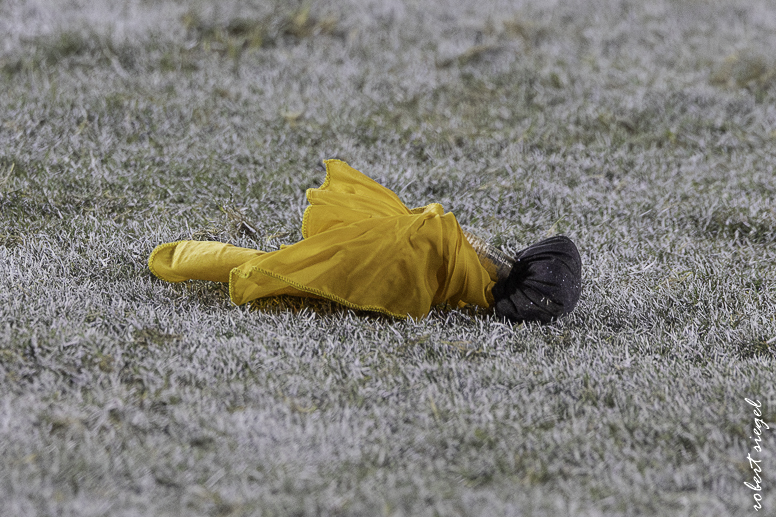 stanford football 2025